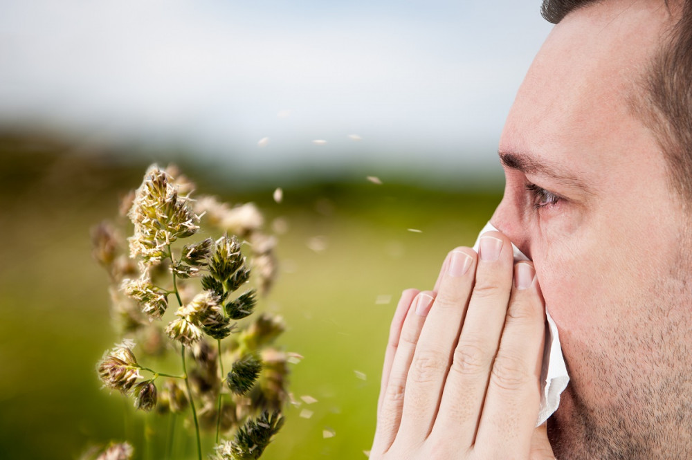 allergia immunterápiás kezelése